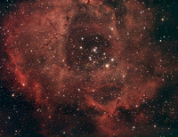 Rosette Nebula